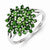 Sterling Silver Tsavorite Ring