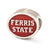 Enameled Ferris State University Collegiate Charm Bead in Sterling Silver