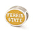 Sterling Silver Enameled Ferris State University Collegiate Bead