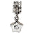 Sterling Silver CZ Star Dangle Bead Charm hide-image