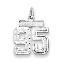 Sterling Silver Small #95 Charm hide-image