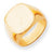 14k Yellow Gold Men's Signet Ring