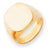 14k Yellow Gold Men's Signet Ring