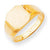 14k Yellow Gold Men's Signet Ring