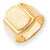 14k Yellow Gold Men's Signet Ring