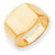 14k Yellow Gold Men's Signet Ring