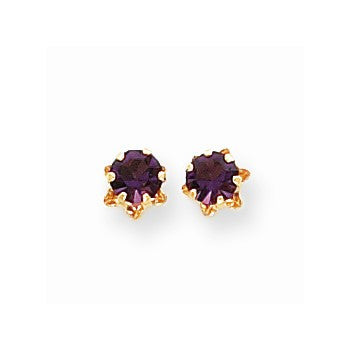 14k Yellow Gold 5mm Synthetic Amethyst (Feb) Earrings