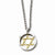 Stainless Steel Polished & Gold Ip-Plated Star Of David Necklace