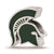 Sterling Silver LogoArt Michigan State U Spartan Head Enameled Logo Bead