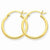 10k Yellow Gold Polished 2mm Round Hoop Earrings