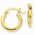 10k Yellow Gold Polished 2mm Round Hoop Earrings