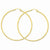 10k Yellow Gold Polished 2mm Round Hoop Earrings