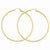 10k Yellow Gold Polished 2mm Round Hoop Earrings