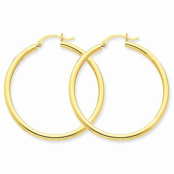 10k Yellow Gold Polished 2.5mm Round Hoop Earrings