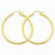 10k Yellow Gold Polished 2.5mm Round Hoop Earrings