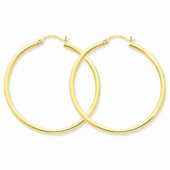 10k Yellow Gold Polished 2.5mm Round Hoop Earrings