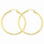 10k Yellow Gold Polished 2.5mm Round Hoop Earrings