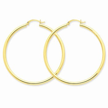 10k Yellow Gold Polished 2.5mm Round Hoop Earrings