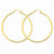 10k Yellow Gold Polished 2.5mm Round Hoop Earrings