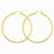 10k Yellow Gold Polished 2.5mm Round Hoop Earrings