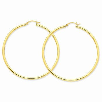 10k Yellow Gold Polished 2.5mm Round Hoop Earrings