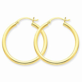 10k Yellow Gold Polished 2.5mm Round Hoop Earrings