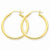 10k Yellow Gold Polished 2.5mm Round Hoop Earrings