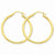 10k Yellow Gold Polished 2.5mm Round Hoop Earrings