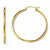 10k Yellow Gold Polished Hinged Hoop Earrings