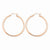 14k Rose Gold 2.5mm Polished Hoop Earrings