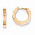 14k Rose Gold Round Hinged Hoop Earrings