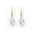 14k Yellow Gold 5mm Heart Cubic Zirconia Leverback Earrings