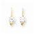 14k Yellow Gold 5mm Cubic Zirconia Leverback Earrings