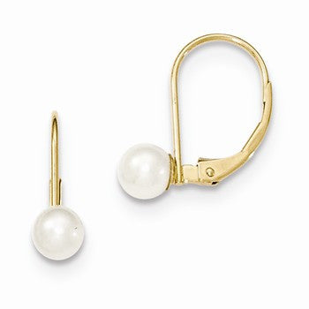 14k Yellow Gold 5mm Pearl Leverback Earrings