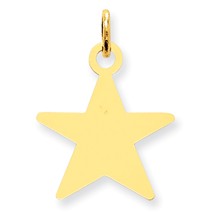 14k Gold Star Disc Charm hide-image