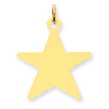 14k Gold Star Disc Charm hide-image