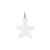 Star Disc Charm in 14k White Gold