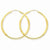 14k Yellow Gold 2mm Satin Diamond-cut Endless Hoop Earrings