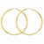 14k Yellow Gold 2mm Satin Diamond-cut Endless Hoop Earrings