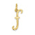 Initial Charm in 14k Yellow Gold